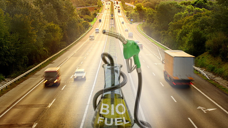 Biofuels from bio waste residues – The WASTE2ROAD Project