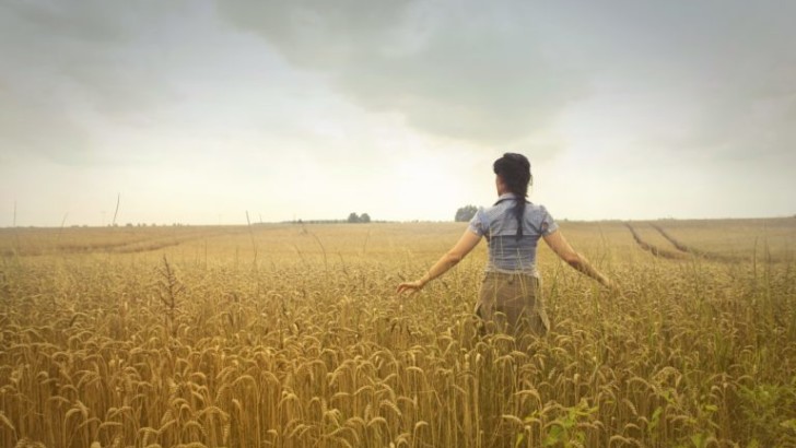 Assessing the impact of bioenergy on the economy and the general public
