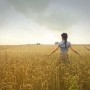 Assessing the impact of bioenergy on the economy and the general public