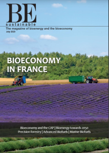cover-BE-Sustainable-issue-11-july-2020